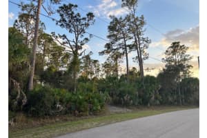 OAKLAND RD, NORTH PORT, FL 34286 - MLS#MFRA4685627