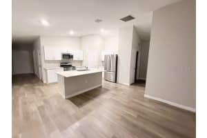 12928 HAWKSTONE TRAIL BOULEVARD, LITHIA, FL 33547 - MLS#MFRA4685822