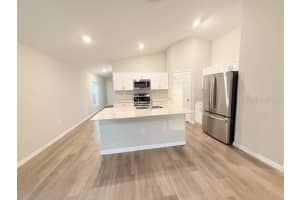 12928 HAWKSTONE TRAIL BOULEVARD, LITHIA, FL 33547 - MLS#MFRA4685822