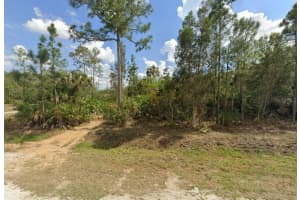 3310 43RD AVENUE, NAPLES, FL 34120 - MLS#MFRA4685933