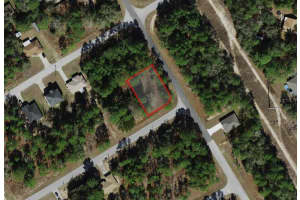805 SMALLMAN PLACE, CITRUS SPRINGS, FL 34434 - MLS#MFRA4686204