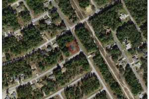 805 SMALLMAN PLACE, CITRUS SPRINGS, FL 34434 - MLS#MFRA4686204