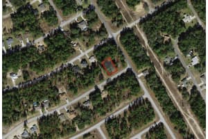 817 SMALLMAN PLACE, CITRUS SPRINGS, FL 34434 - MLS#MFRA4686205