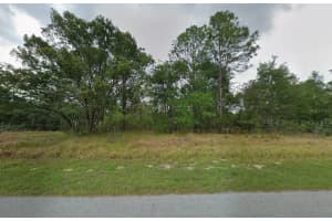 817 SMALLMAN PLACE, CITRUS SPRINGS, FL 34434 - MLS#MFRA4686205