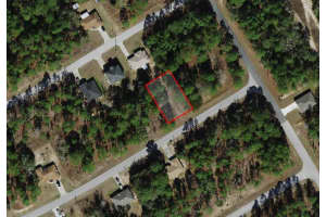 829 SMALLMAN PLACE, CITRUS SPRINGS, FL 34434 - MLS#MFRA4686207