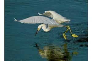 4405 MOUNT VERNON DRIVE, BRADENTON, FL 34210 - MLS#MFRA4686341