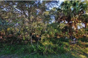 FAFTON ST, NORTH PORT, FL 34288 - MLS#MFRA4686391