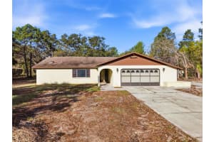 18301 BRANCH ROAD, HUDSON, FL 34667 - MLS#MFRA4686503