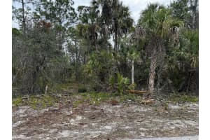 17436 IAGO AVENUE, PORT CHARLOTTE, FL 33954 - MLS#MFRA4686734