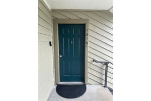 9100 DR MARTIN LUTHER KING JR STREET, ST PETERSBURG, FL 33702 - MLS#MFRA4686753