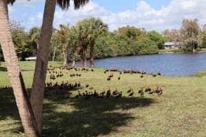 880 VAN GOGH ROAD, ENGLEWOOD, FL 34223 - MLS#MFRA4686822