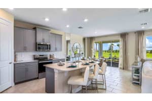 4407 SILVER BIRCH COURT COURT, PALMETTO, FL 34221 - MLS#MFRA4687082