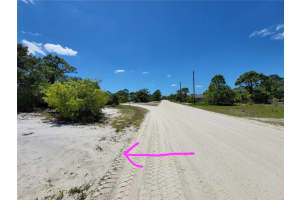 433 GLORIA BOULEVARD, LAKE PLACID, FL 33852 - MLS#MFRA4687119