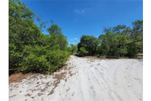 433 GLORIA BOULEVARD, LAKE PLACID, FL 33852 - MLS#MFRA4687119