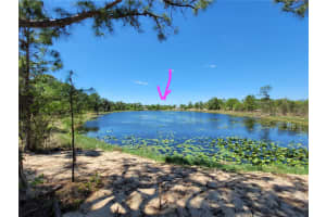 433 GLORIA BOULEVARD, LAKE PLACID, FL 33852 - MLS#MFRA4687119