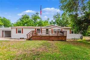 32098 SINGLETARY ROAD, MYAKKA CITY, FL 34251 - MLS#MFRA4687179