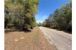 8512 ESCOBAR ROAD, DUNNELLON, FL 34434 - MLS#MFRA4687210