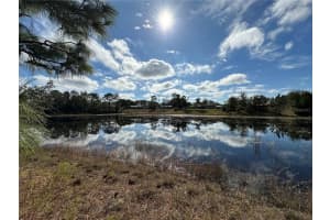 8362 ERIC STREET, SPRING HILL, FL 34608 - MLS#MFRA4687455