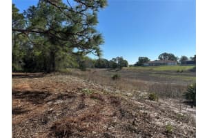 8362 ERIC STREET, SPRING HILL, FL 34608 - MLS#MFRA4687455