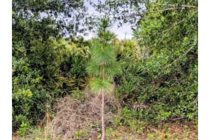 CALLAGHAN LN, NORTH PORT, FL 34291 - MLS#MFRA4687974