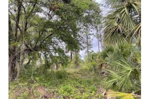 Lot 15 ANANAS ROAD, NORTH PORT, FL 34288 - MLS#MFRA4687976