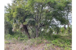 Lot 15 ANANAS ROAD, NORTH PORT, FL 34288 - MLS#MFRA4687976