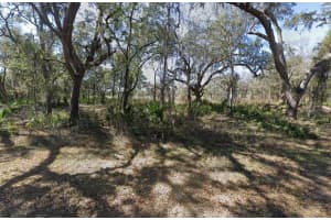 3310 CANAL ROAD, INVERNESS, FL 34450 - MLS#MFRA4688396