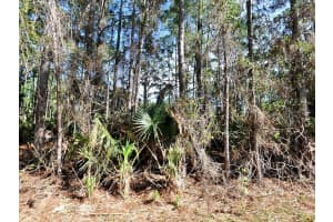 NAGENGAST ST, NORTH PORT, FL 34288 - MLS#MFRA4688531