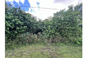 RAYWOOD AVE, NORTH PORT, FL 34286 - MLS#MFRA4688565