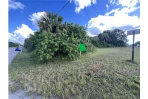 RAYWOOD AVE, NORTH PORT, FL 34286 - MLS#MFRA4688565