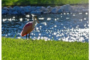 4726 POTOMAC CIRCLE, BRADENTON, FL 34210 - MLS#MFRA4688661