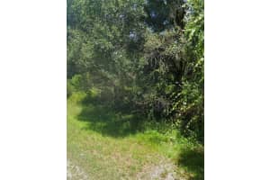 BANGAR LN, NORTH PORT, FL 34291 - MLS#MFRA4688767