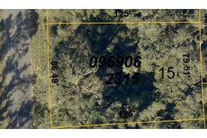 BANGAR LN, NORTH PORT, FL 34291 - MLS#MFRA4688767