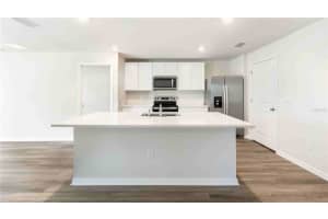 11905 MOUNTAIN ISLAND TRAIL, PARRISH, FL 34219 - MLS#MFRA4689025