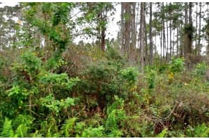 JACARANDA AVE, NORTH PORT, FL 34291 - MLS#MFRA4689164