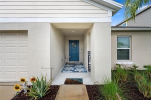 12690 TANNENCREST DRIVE, RIVERVIEW, FL 33579 - MLS#MFRA4689173