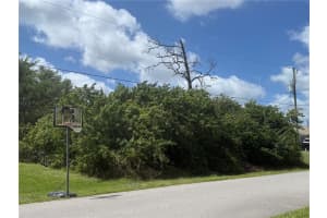 NEKOMA AVE, NORTH PORT, FL 34288 - MLS#MFRA4689864
