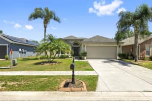 3250 Helmel Ct, LAND O LAKES