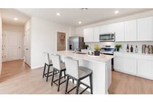 1627 LOVE GRASS TERRACE, PARRISH, FL 34219 - MLS#MFRA4690150