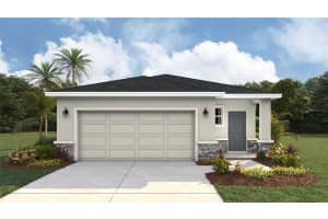 10721 MONARCH WOOD GLEN, PARRISH, FL 34219 - MLS#MFRA4690182