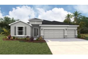 10421 WOODLAND GARDEN WAY, PARRISH, FL 34219 - MLS#MFRA4690274