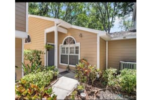 3067 Pointer Dr, PALM HARBOR