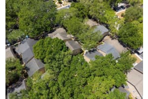 3067 POINTER DRIVE, PALM HARBOR, FL 34683 - MLS#MFRA4690610