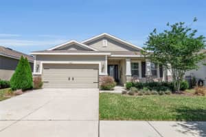 13225 Waterleaf Garden Cir, RIVERVIEW