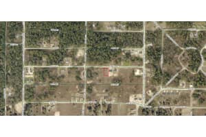 2002-065-009 241TH PLACE, DUNNELLON, FL 34431 - MLS#MFRA4690694