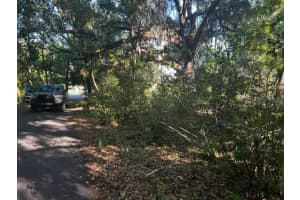 MLS# MFRA4690741, Dade City, Florida 33523