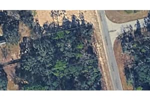 7150 MALTESE DRIVE, CITRUS SPRINGS, FL 34433 - MLS#MFRA4690771