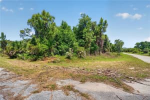 CUSTER CIR, NORTH PORT, FL 34288 - MLS#MFRA4690866