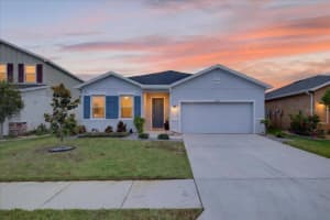 8717 CORKSCREW CROSSING, PARRISH, FL 34219 - MLS#MFRA4690868