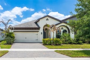 12822 Satin Lily Dr, RIVERVIEW